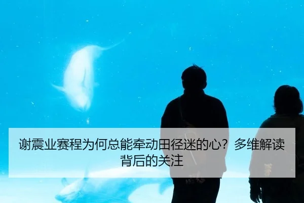 谢震业赛程为何总能牵动田径迷的心？多维解读背后的关注