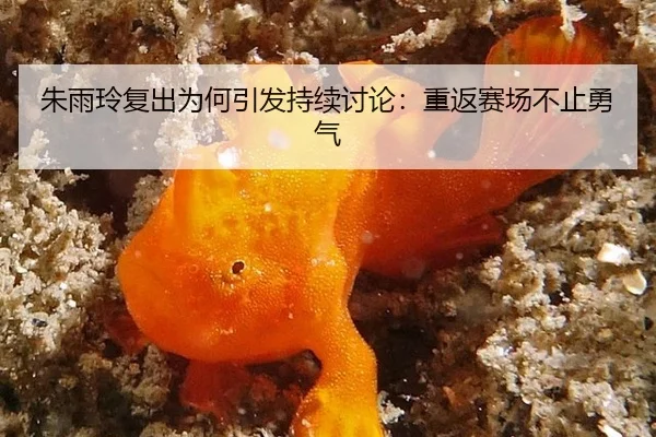 朱雨玲复出为何引发持续讨论：重返赛场不止勇气（ayx）